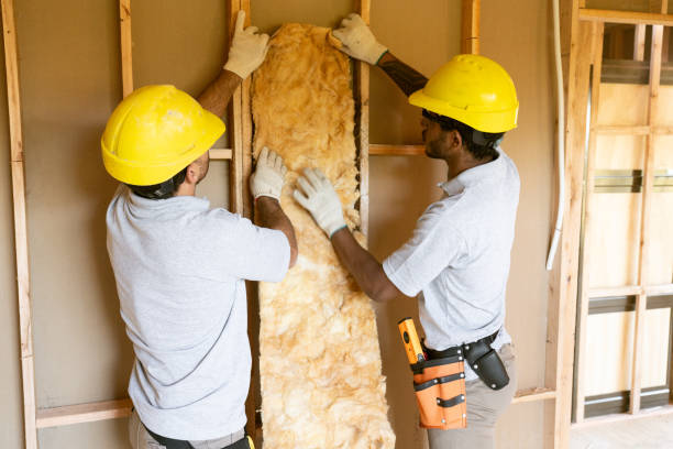 Best Local Insulation Services  in Sandusky, MI