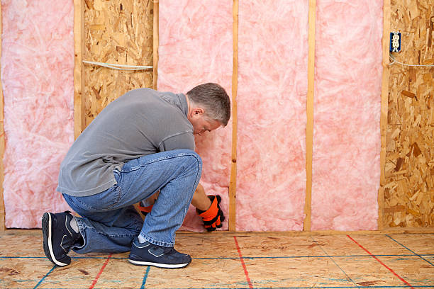 Best Spray Foam Insulation  in Sandusky, MI