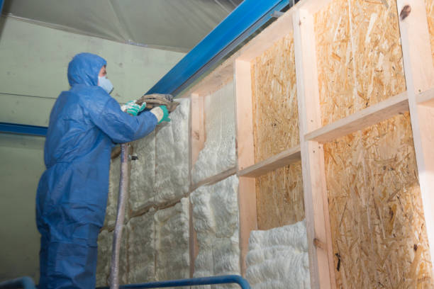 Best Insulation Contractor Near Me  in Sandusky, MI